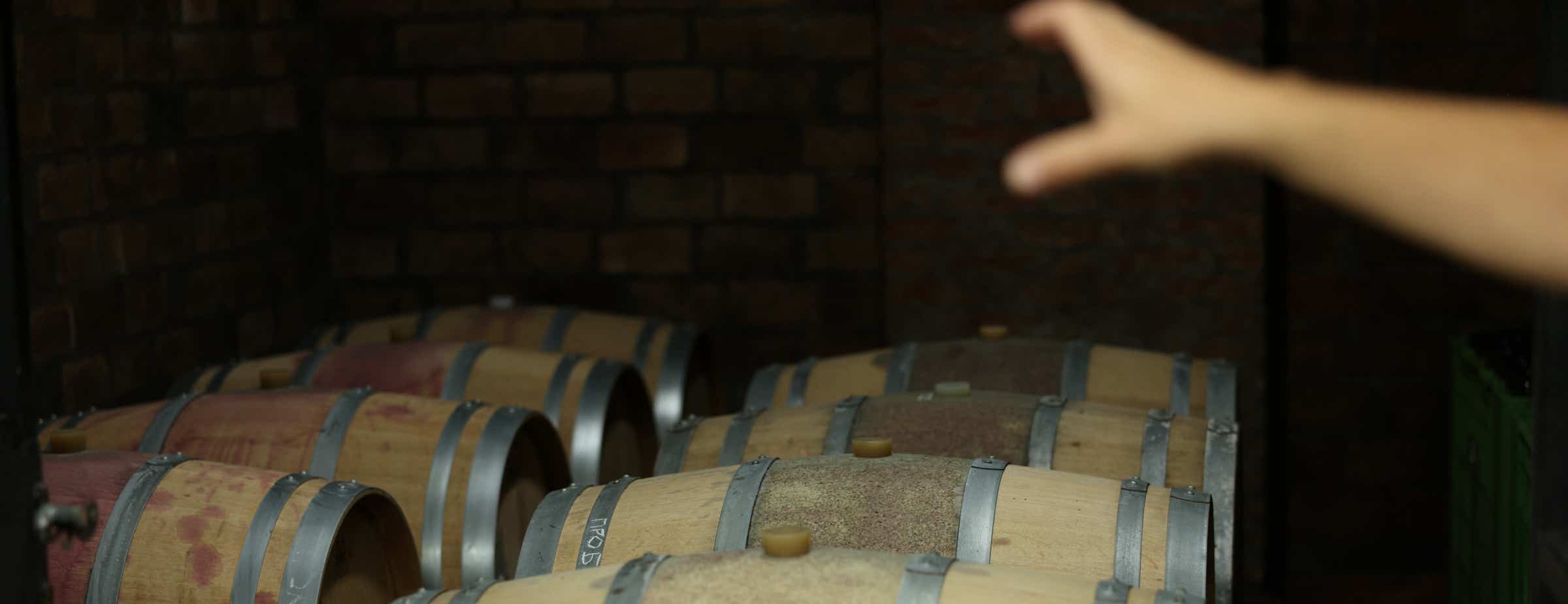 The picture shows a total of eight barrels in a wine cellar. A hand points to these barrels out of focus in the foreground. A red discolouration can be seen around the corked holes for filling.