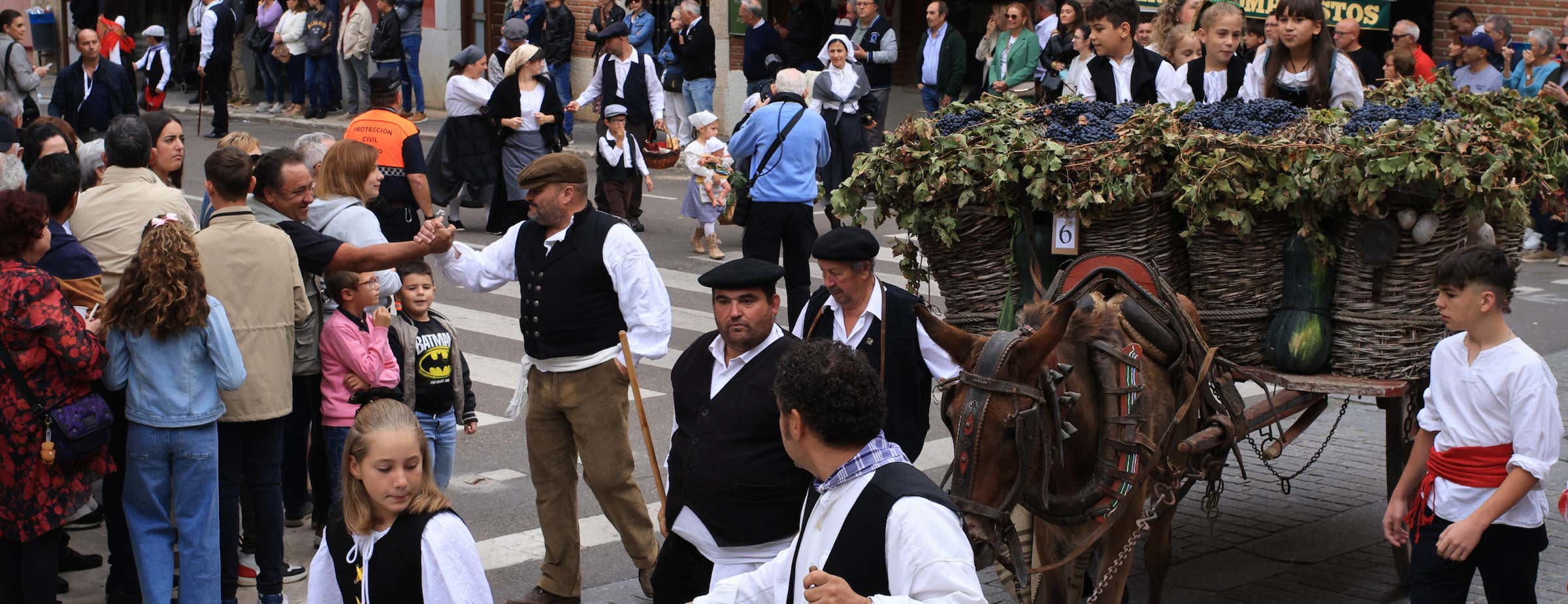 The image shows many celebrating people during the wine festival and parade in Toro. A traditional wooden cart filled with grapes and pumpkins is pulled by a donkey.