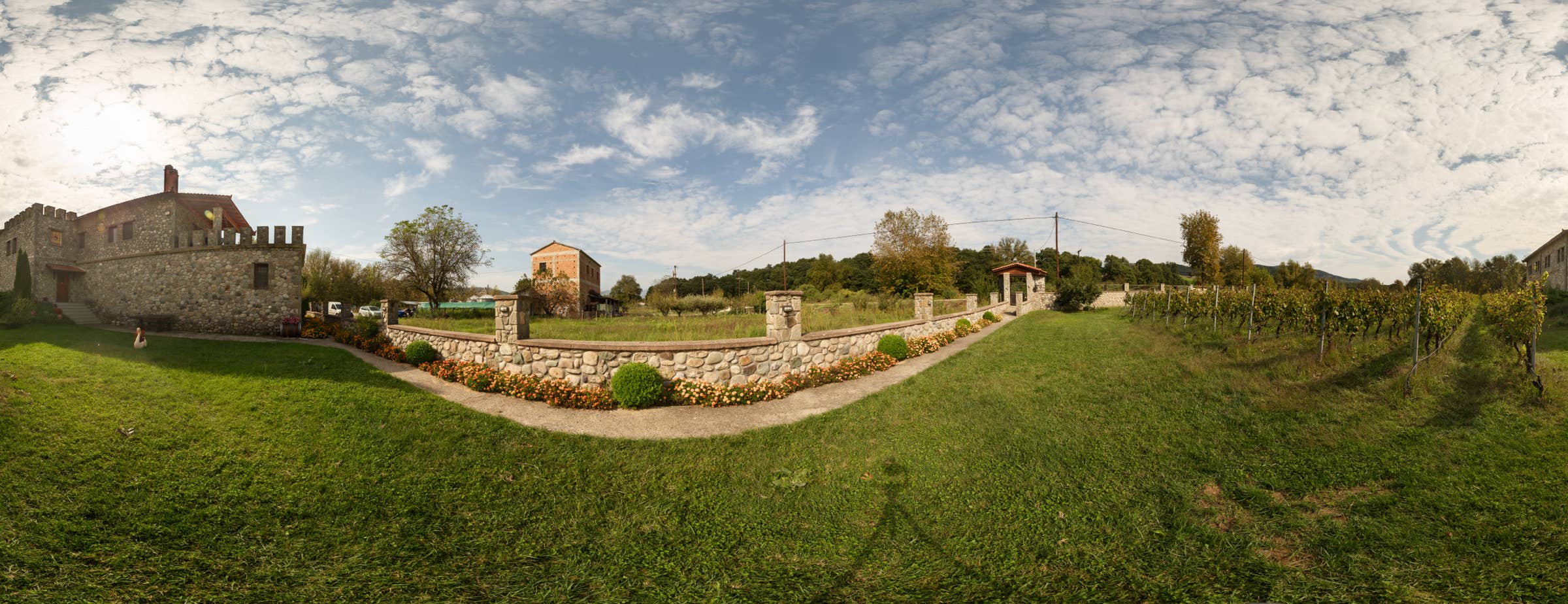 360° panoramic image outside the Liakou Winery showing the main building and its entrance and a vineyard in front of the building. 